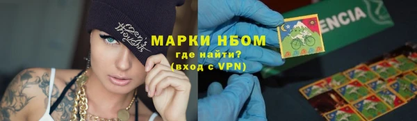 бошки Пересвет