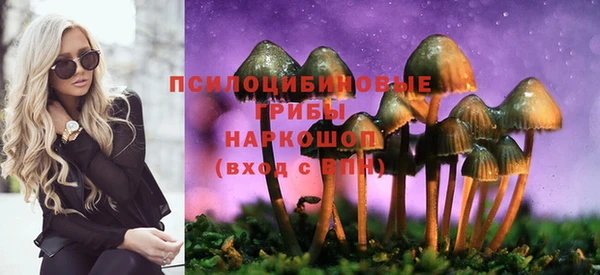 ALPHA PVP Переславль-Залесский