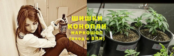 ALPHA PVP Переславль-Залесский